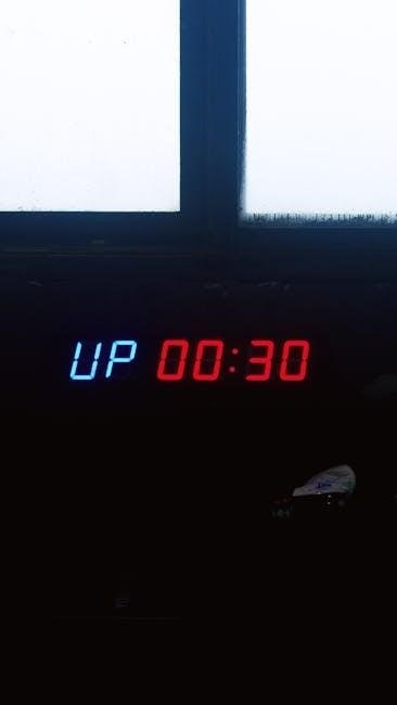 digital timer manual pdf
